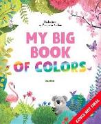 The Big Book of Colors