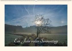 Ein Jahr voller Sonnentage (Wandkalender 2019 DIN A2 quer)