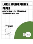 Large Square Graph Paper (300 pages)