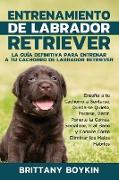 Entrenamiento de Labrador Retriever