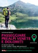 Passeggiare in Prealpi e Dolomiti. 100 percorsi per tutti fra colli, sentieri e rifugi, delle province di Verona, Vicenza, Treviso, Udine, Belluno