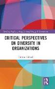 Critical Perspectives on Diversity in Organizations