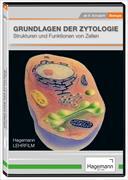 Grundlagen der Zytologie. Video