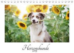 Herzenshunde 2019 (Tischkalender 2019 DIN A5 quer)