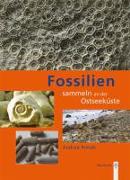 Fossilien sammeln an der Ostseeküste