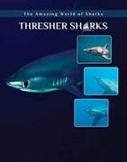 Thresher Sharks