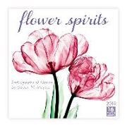 2019 Flower Spirits Radiographs of Nature by Steven N. Meyers 16-Month Wall Calendar: By Sellers Publishing