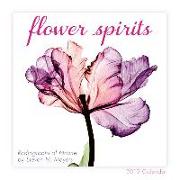 2019 Flower Spirits Radiographs of Nature by Steven N. Meyers Mini Calendar: By Sellers Publishing