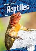 Reptiles