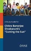 A Study Guide for Chitra Banerjee Divakaruni's "Cutting the Sun"
