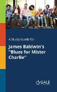 A Study Guide for James Baldwin's "Blues for Mister Charlie"