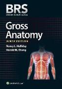 Brs Gross Anatomy