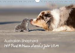 Australian Shepherd 2019 (Wandkalender 2019 DIN A4 quer)