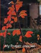 My Prayer Journal: Jeremiah 29:12 Then You Will Call on Me and Come and Pray to Me, and I Will Listen to You