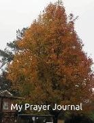 My Prayer Journal: Mark 11:24 Therefore I Tell You, Whatever You Ask in Prayer, Believe That You Have Received It, and It Will Be Yours