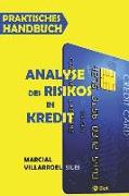 Praktisches Handbuch Analyse Des Risikos in Kredit
