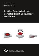 In vitro Rekonstruktion verschiedener vaskulärer Barrieren