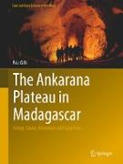 The Ankarana Plateau in Madagascar