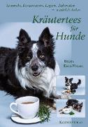 Kräutertees für Hunde