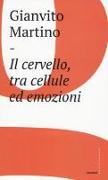 Il cervello, tra cellule ed emozioni