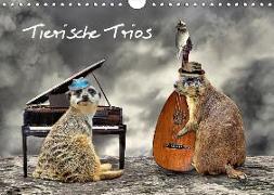 Tierische Trios (Wandkalender 2019 DIN A4 quer)