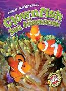 Clownfish and Sea Anemones