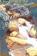Unnatural Beauty: Poems from the Han Riverside