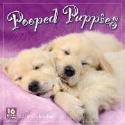 2019 Pooped Puppies 16-Month Wall Calendar: By Sellers Publishing
