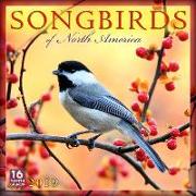 2019 Songbirds of North America 16-Month Wall Calendar: By Sellers Publishing
