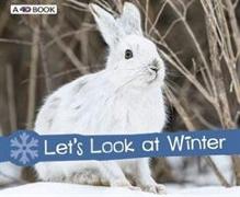 Let's Look at Winter