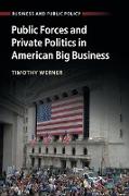 Public Forces and Private Politics in American Big Business