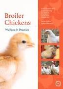 Broiler Chickens Welfare in Practice