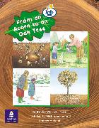 From an Acorn to an Oak Tree Info Trail Emergent Stage Non-fiction Book 23