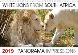 White Lions from South Africa Panorama Impressions (Wall Calendar 2019 DIN A3 Landscape)