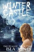 Winter Castle