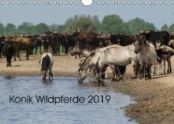 Konik Wildpferde 2019 (Wandkalender 2019 DIN A4 quer)