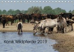 Konik Wildpferde 2019 (Tischkalender 2019 DIN A5 quer)