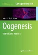 Oogenesis