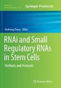 RNAi and Small Regulatory RNAs in Stem Cells