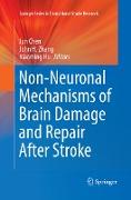 Non-Neuronal Mechanisms of Brain Damage and Repair After Stroke