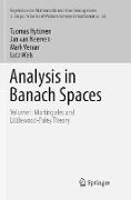 Analysis in Banach Spaces