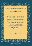 Bericht Über die Senckenbergische Naturforschende Gesellschaft, 1870-1871 (Classic Reprint)