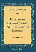 Praktische Grammatik der Neu-Persischen Sprache (Classic Reprint)