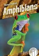 Amphibians