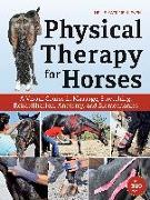 Physical Therapy for Horses