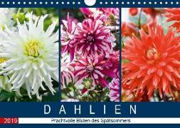 Dahlien - Prachtvolle Blüten des Spätsommers (Wandkalender 2019 DIN A4 quer)