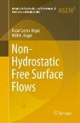 Non-Hydrostatic Free Surface Flows