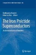 The Iron Pnictide Superconductors