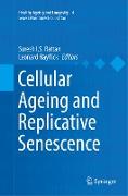 Cellular Ageing and Replicative Senescence