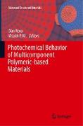 Photochemical Behavior of Multicomponent Polymeric-based Materials